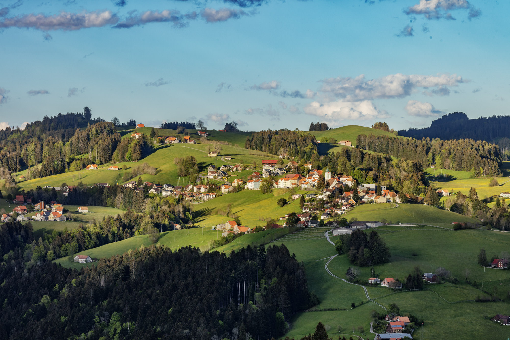 Appenzellerland Wald